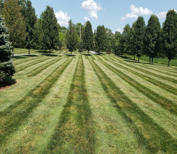 Professional weekly lawn mowing service by Chesapeake Landscapes, showcasing expert lawn care, including regular mowing, trimming, and edging, to maintain a healthy and well-groomed lawn, ensuring an immaculate and manicured appearance, providing hassle-free and convenient lawn maintenance for residential and commercial properties.